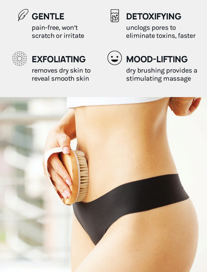 AOA PREMIUM BODY DRY BRUSH