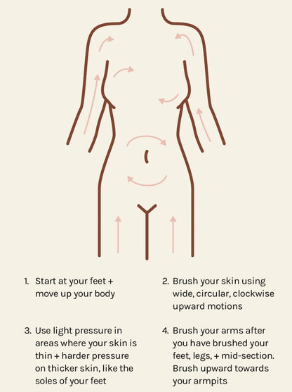AOA PREMIUM BODY DRY BRUSH